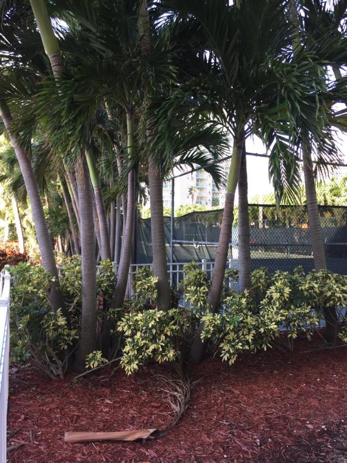 マイアミビーチDisfruta Sunny Isles Ocean 1206 Str-02816アパートメント エクステリア 写真